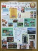 Неделя толерантности_6